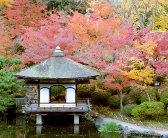 名勝 西之丸庭園(紅葉渓庭園)
